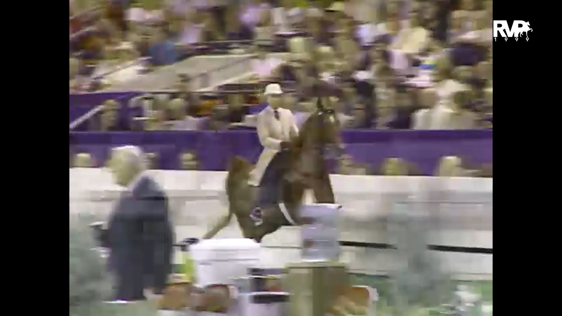 1999 WCHS - Class 160 - Five Gaited Show Pleasure Adult Championship