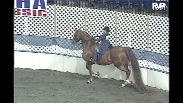 2006 AR - UPHA Walk-Trot Challenge Cu...