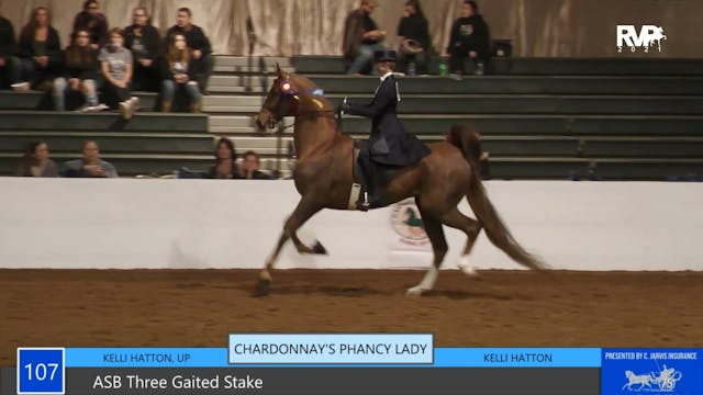 GASP21 - Class 107 - ASB Three Gaited...
