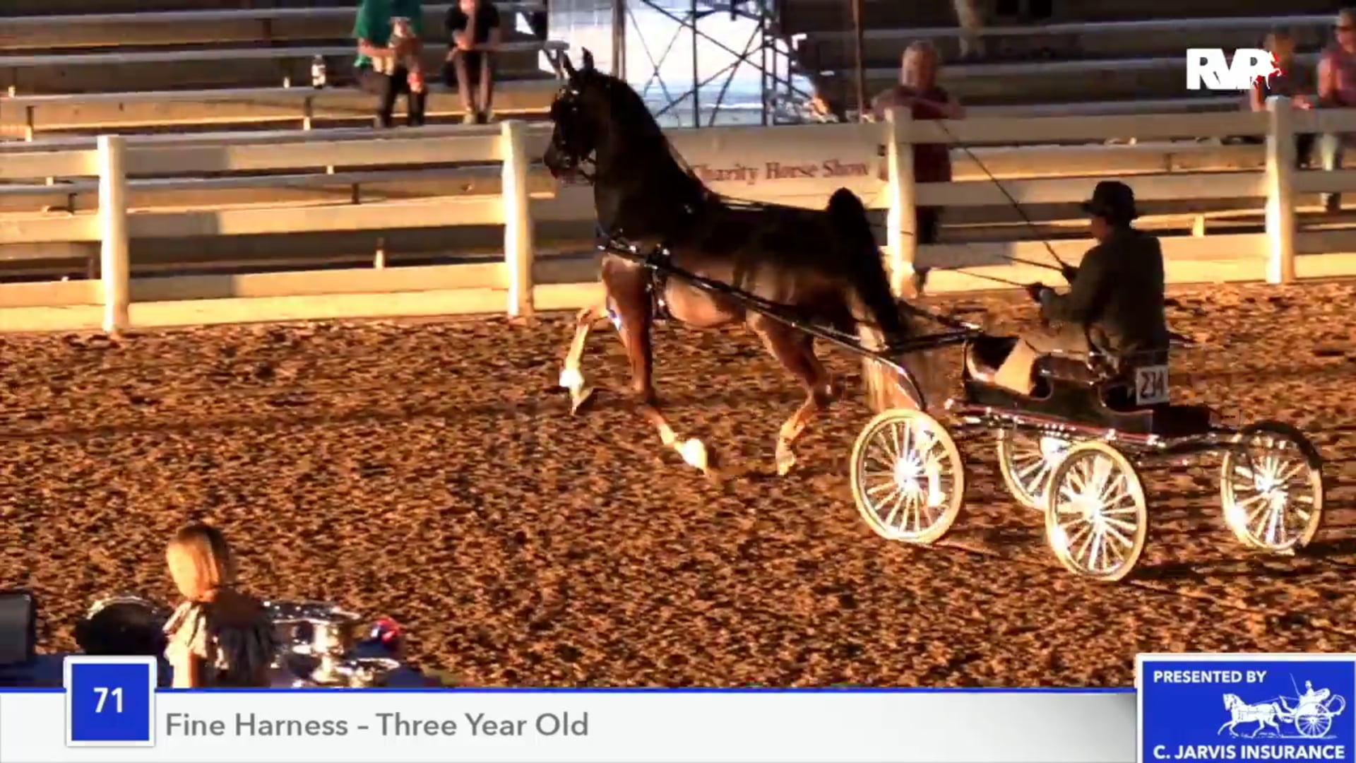 2018 Southeastern Charity - Saturday Morning