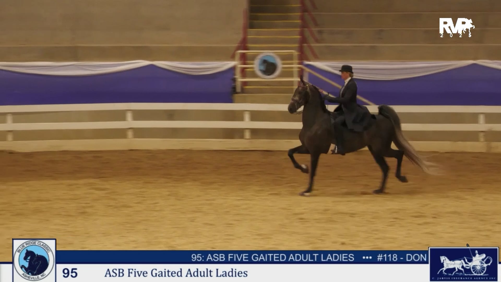 BRC25 - Class 95 - ASB Five Gaited Adult Ladies