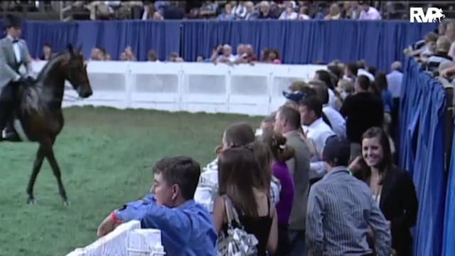 2010 World's Championship Horse Show ...