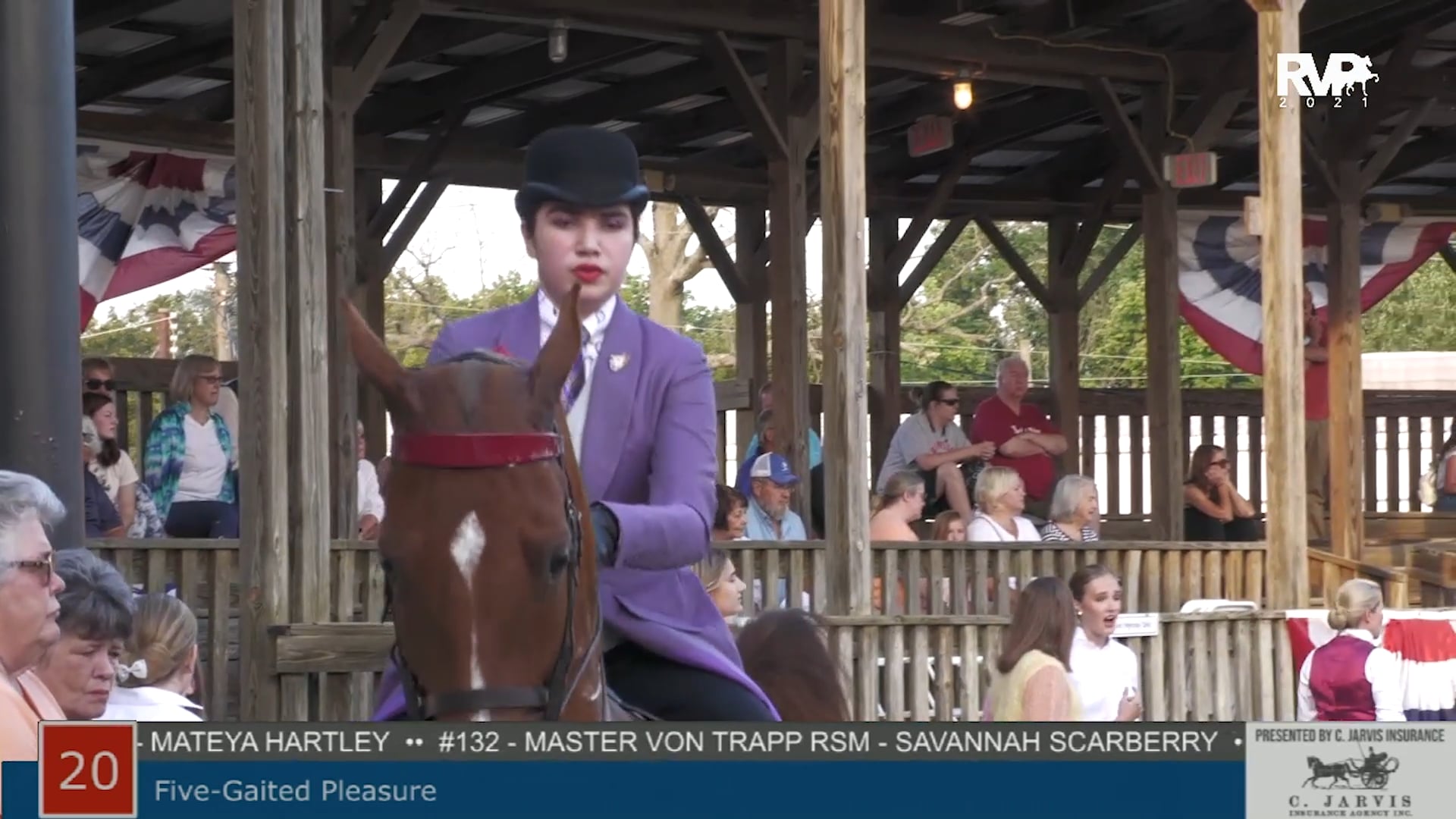 SHS21 - Class 20 -  Five Gaited Pleasure