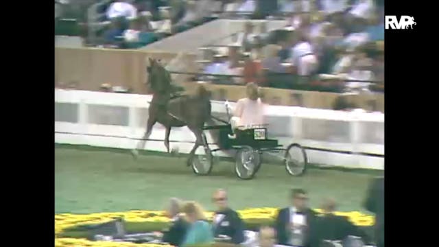 1988 WCHS Class 102 Ladies Fine Harness