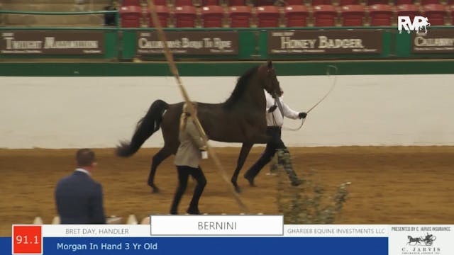 NCSC22 - Class 91.1 -  Bernini and Br...