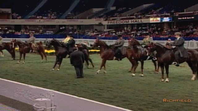 2002 WCHS Class 77 Five Gaited Show P...