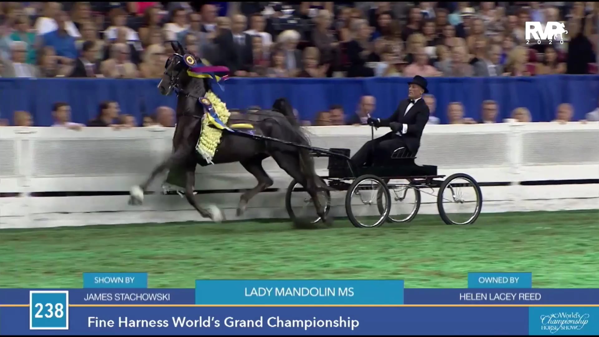 2020 American Royal - Wednesday Evening - November 11