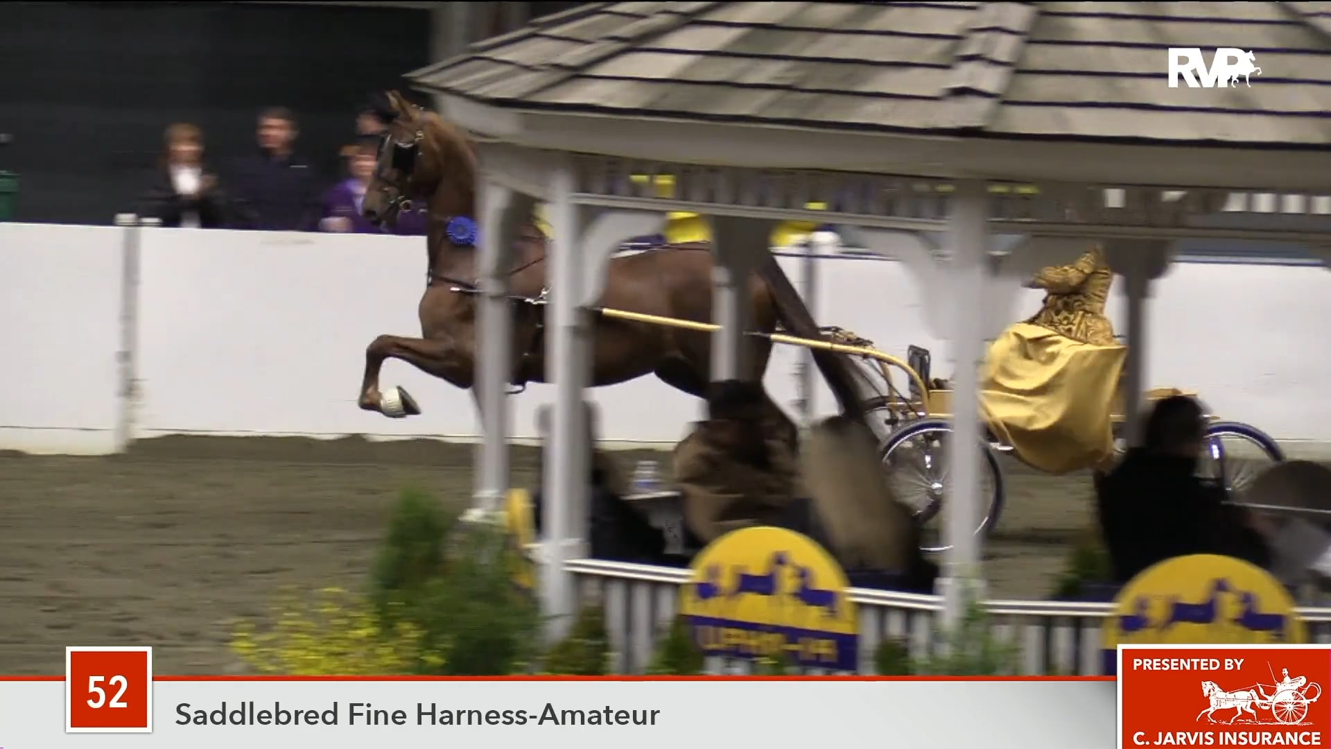 UPHA14-18 Class 52 Undulata's Crystal Crown