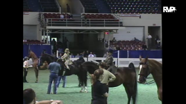 1997 WCHS - Class 96 UPHA Walk Trot 7...