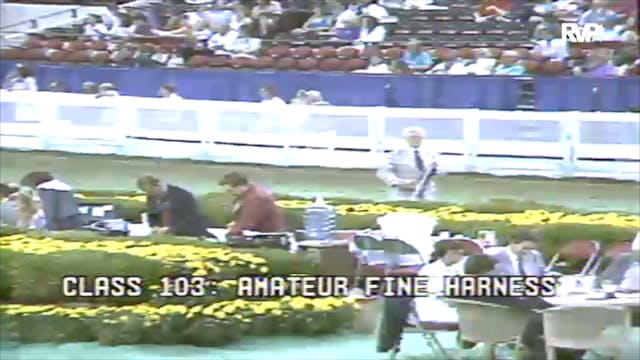 1991 WCHS Class 103 Amateur Fine Harness