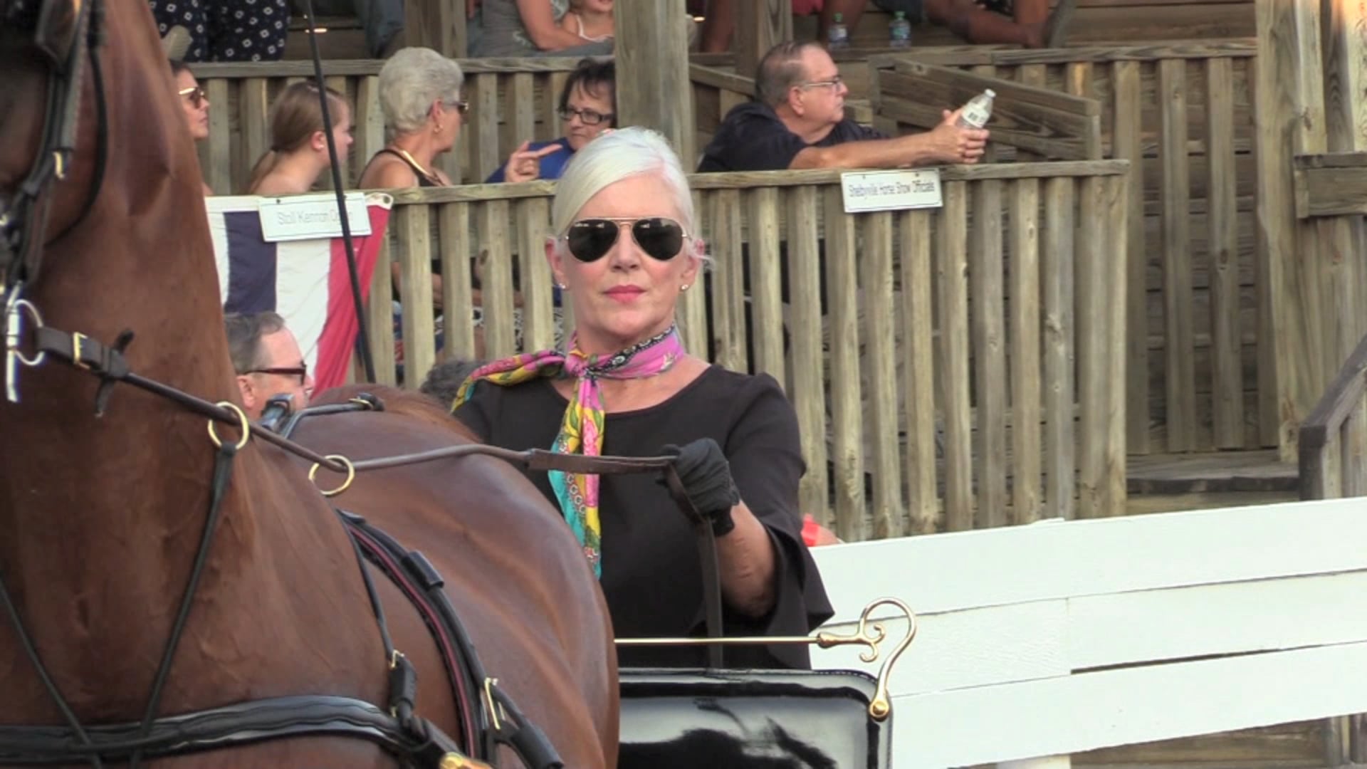 Looking Back @ Shelbyville 2019