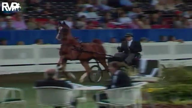 2004 World's Championship Horse Show ...