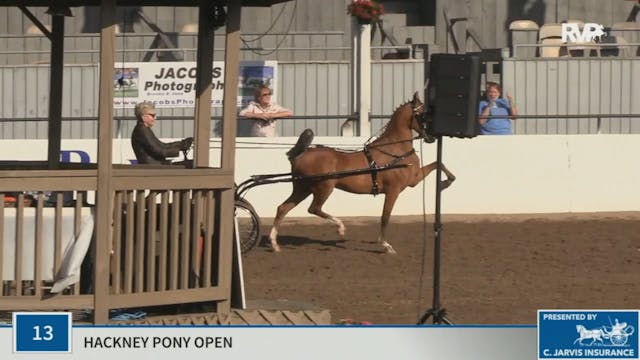 KYSP20 - Class 13 Hackney Pony Open
