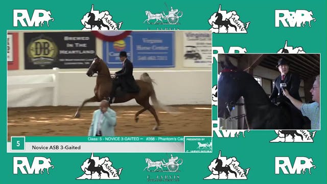 ASHAV17 - Class 3 - Leatherwood's Han...