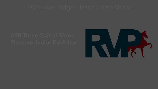 BR21 - Class 9 - ASB Three Gaited Sho...