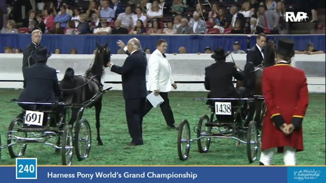 2015 WCHS - Class 240 Harness Pony Wo...