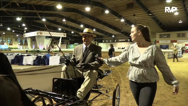 GASP20 - Class 183 - Mr. Naples Champ...
