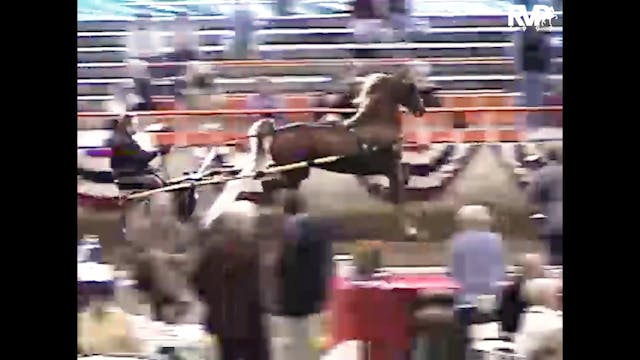 1997 Wisconsin Futurity - Show Pleasu...
