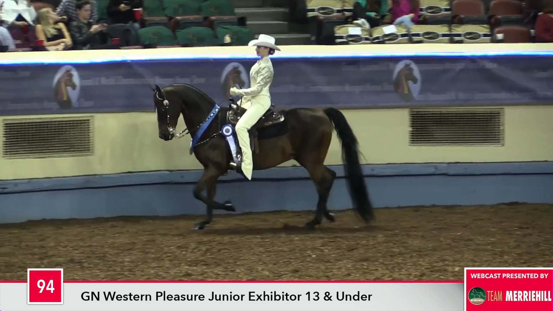 MGN17 - Class 94 - Gaits of Gold GCH