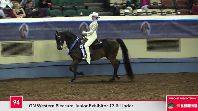 MGN17 - Class 94 - Gaits of Gold GCH