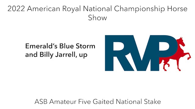 AR22 - Class 179 - Emerald’s Blue Sto...