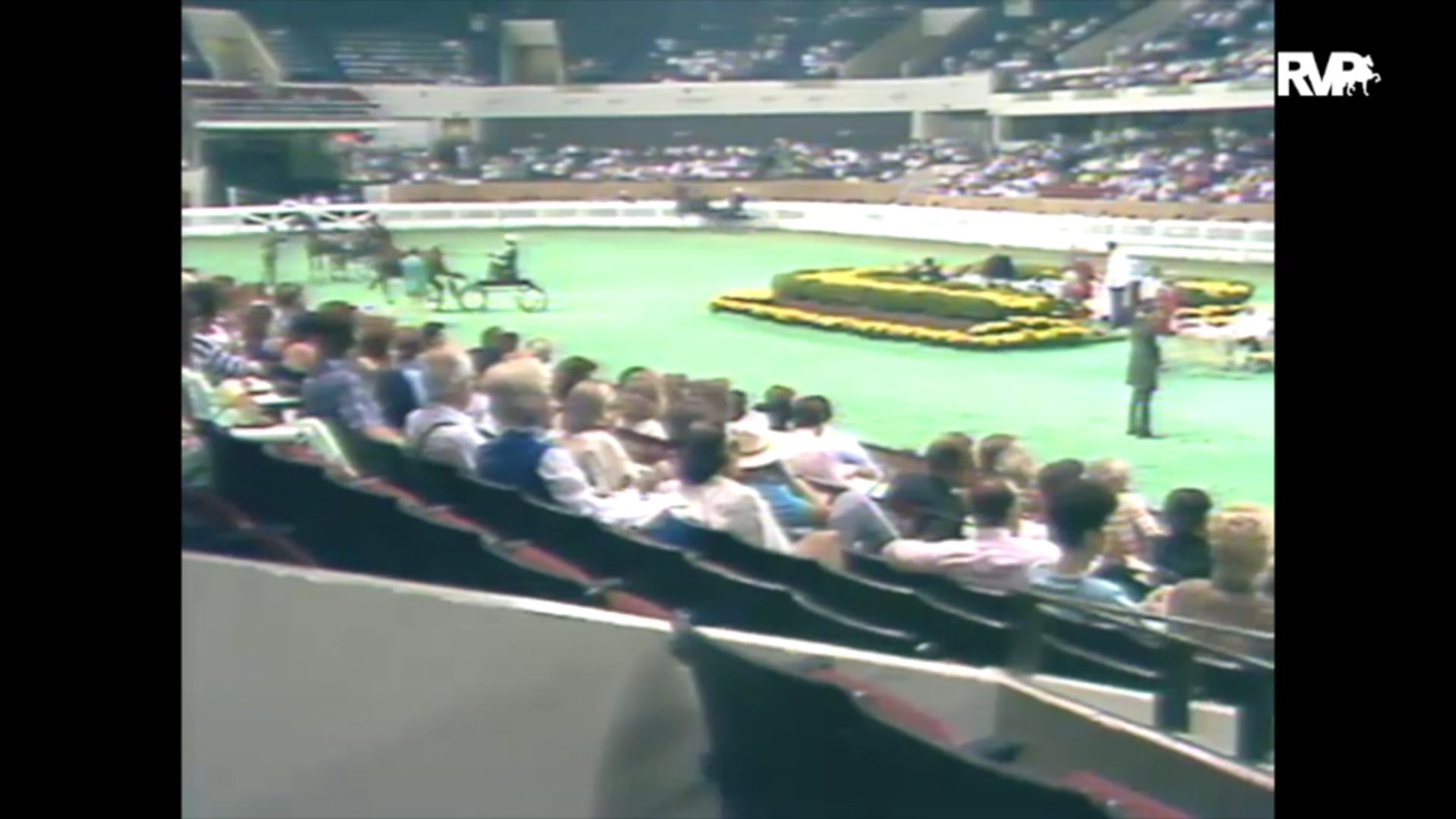 1989 WCHS Class 68 Fine Harness Stallion or Gelding