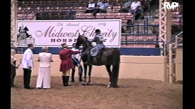 1998 MW - Three Gaited Show Pleasure ...