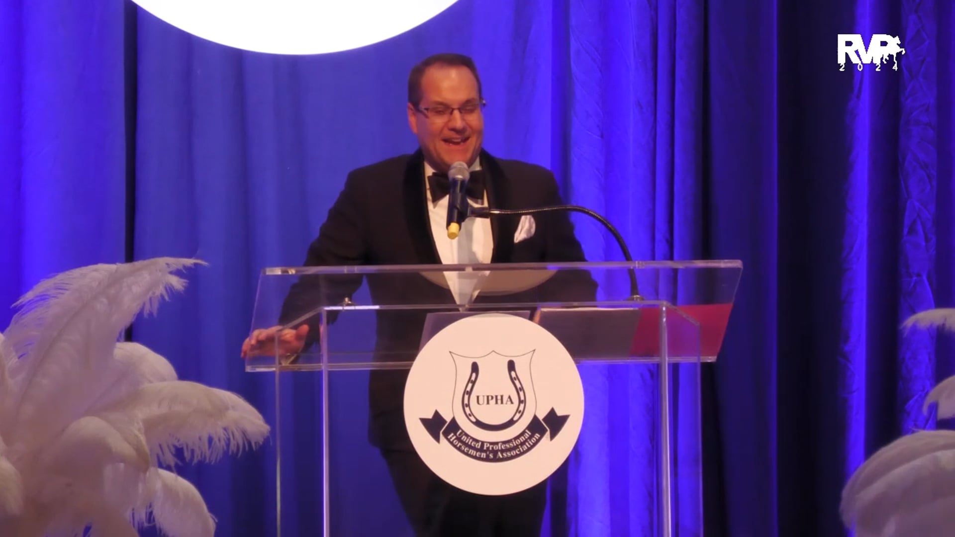 2024 UPHA Overall Morgan English Pleasure Horse of the Year - Blurred Lines