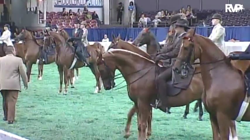 2010 World's Championship Horse Show Class 120 ASB Junior Exhibitor Three Gaited-Country Pleasure Rider 14-17 -Division 1