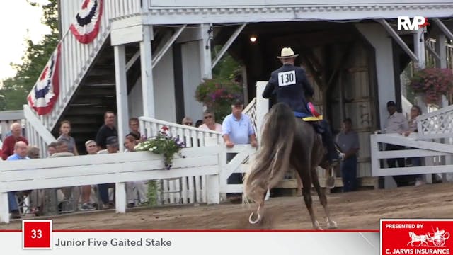 SHS18 - Class 33 - Undulata's Mick Ja...
