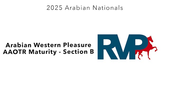 AN25 - Class 1031b - Arabian Western ...