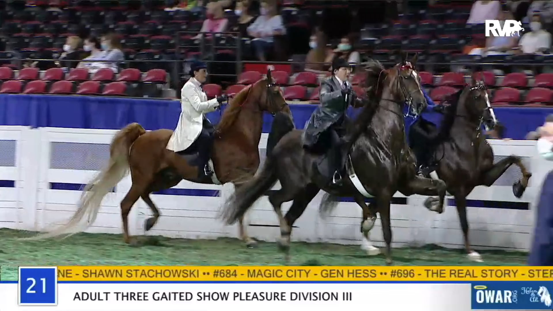WCHS 2020 Class 21 - Adult Three Gaited Show Pleasure Division III