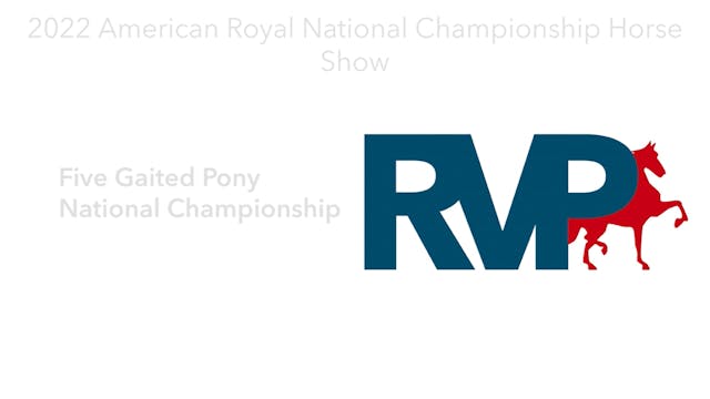 AR22 - Class 139 - Five Gaited Pony N...