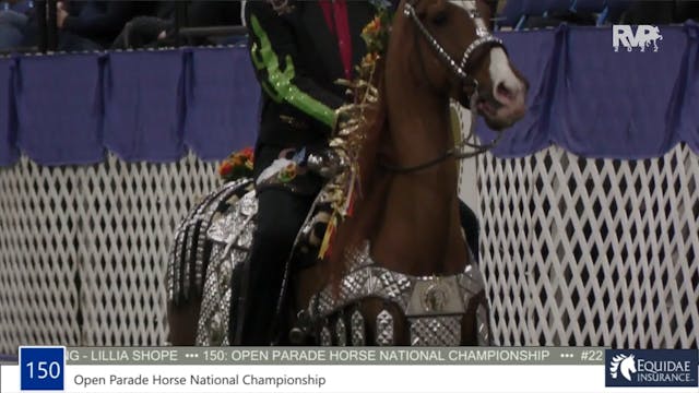 AR22 - Class 150 - Open Parade Horse ...