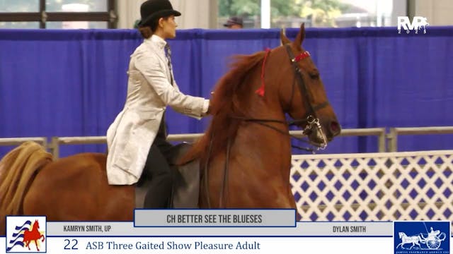 AAC25 - Class 22 - CH Better See the ...