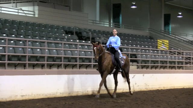 UPHA Chapters 8 &17 Horsemanship Chal...