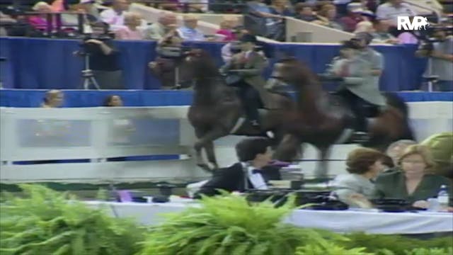 2000 WCHS Class 104 Amateur Five Gait...