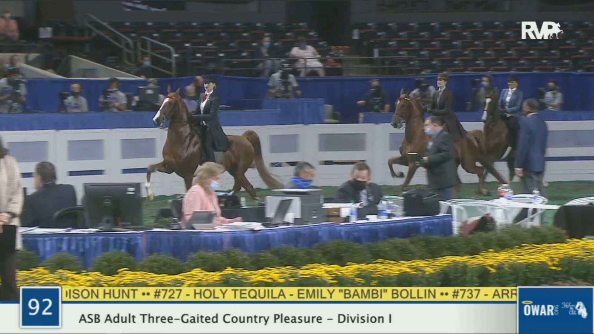 WCHS 2020 Class 92 - ASB Adult Three-Gaited Country Pleasure - Division I