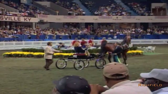 2002 WCHS Class 184 Junior Exhibitor ...