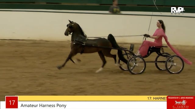 NCSC21 - Class 17 - Amateur Harness Pony