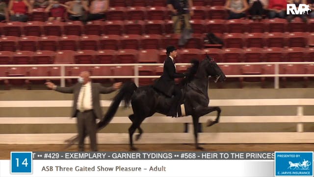 2020 ASF - Class 14 ASB Three Gaited ...