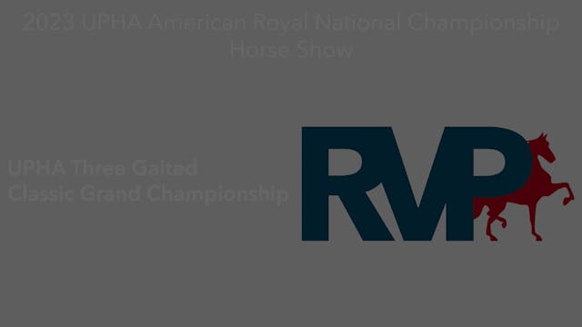 AR23 - Class 128 - UPHA Three Gaited ...