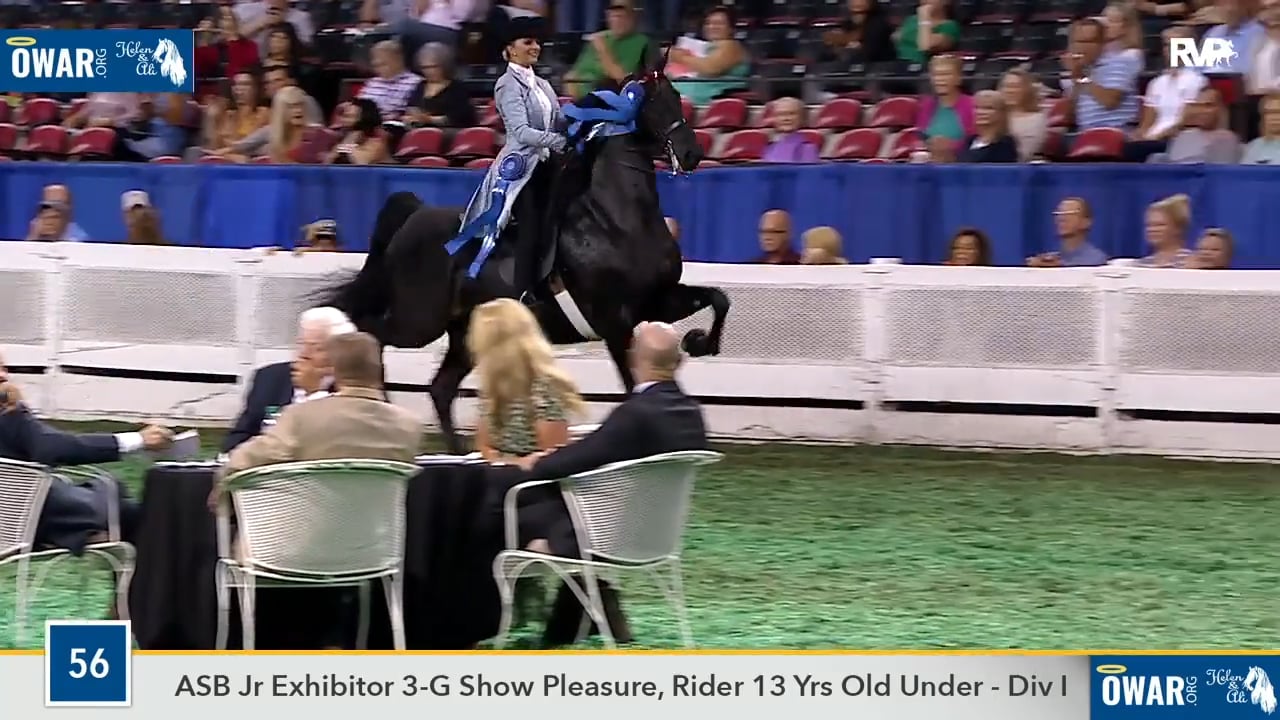 WCHS18 Class 56 - CH Royal Crest's Rhinestone Cowboy