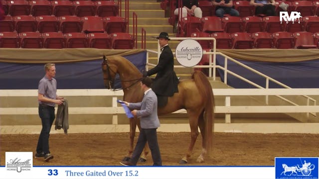 ASC24 - Class 33 - Three Gaited Over ...