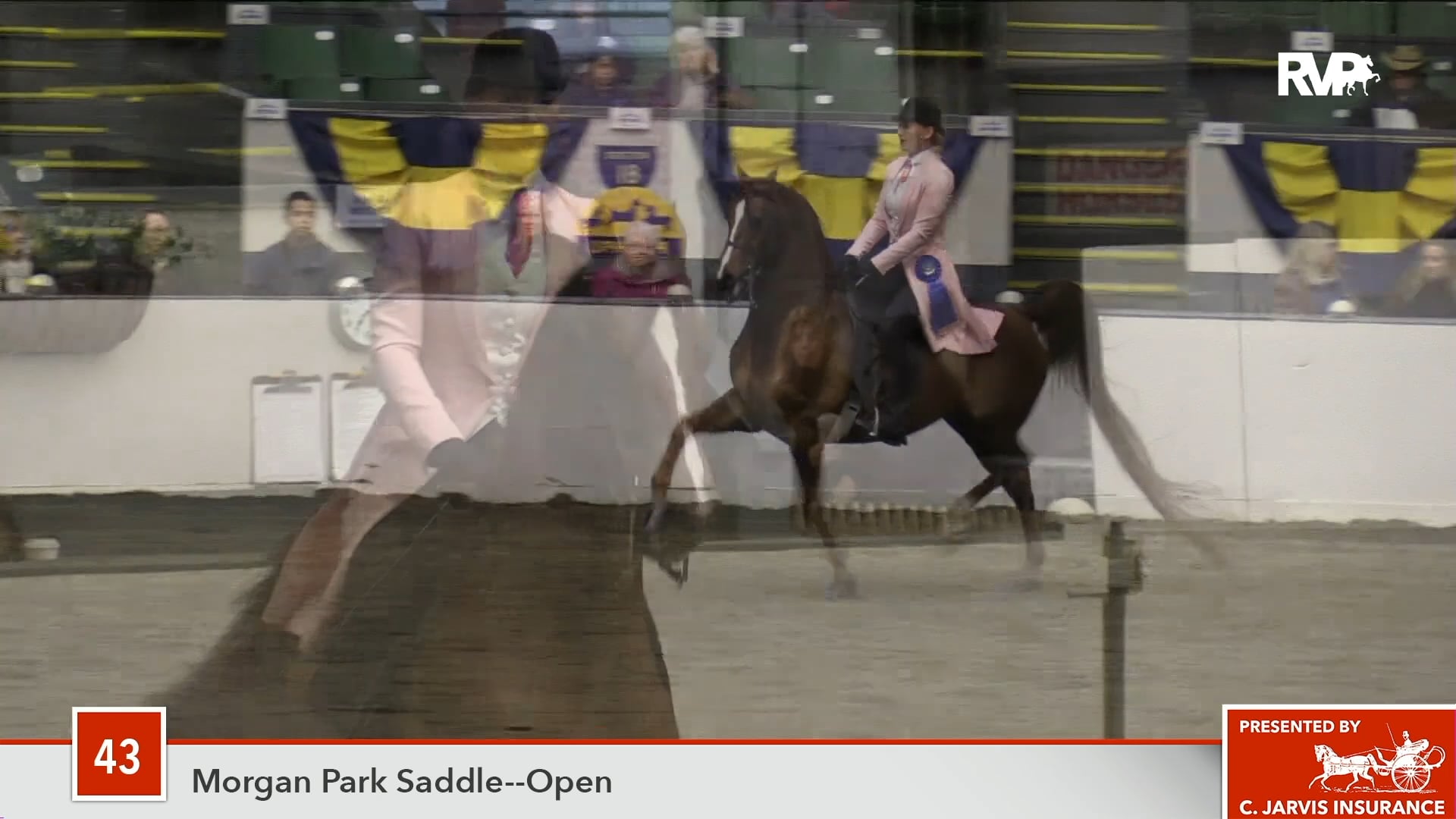 UPHA14-18 Class 43 Cedar Creek Flambeau GCH