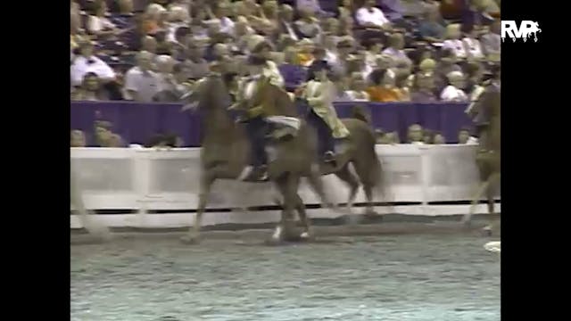 1999 WCHS - Class 161 Three Gaited Po...