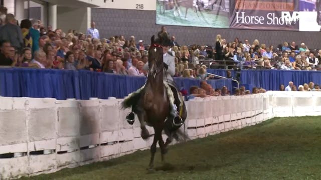 2023 American Royal - Saturday Afternoon