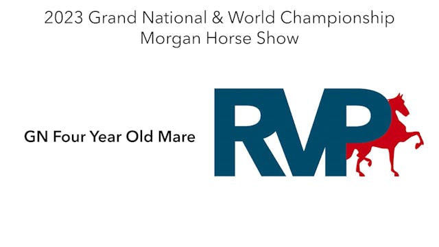 MGN23 - Class 15 - GN Four Year Old Mare