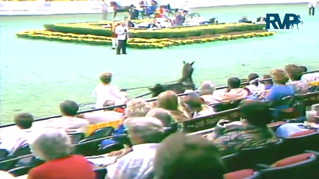 1987 WCHS Class 61 Ladies Hackney Pony