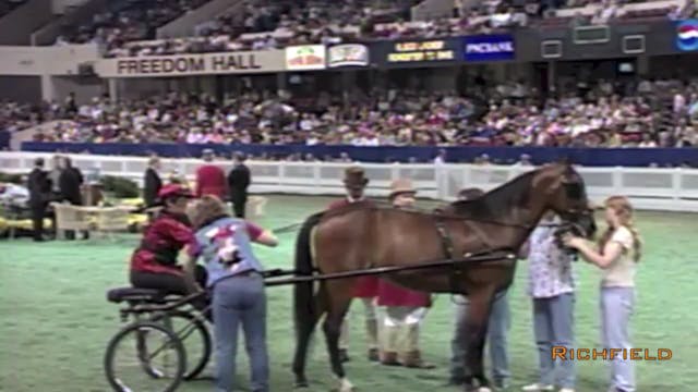 1998 WCHS - Ladies Road Horse